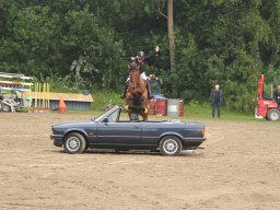 IMG_1643_web